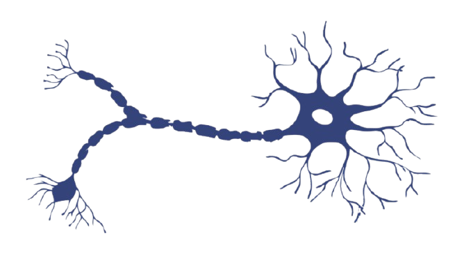 Ilustración abstracta de conexiones neuronales